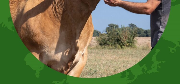 Visite de la délégation CNIP au Salon de l’Agriculture 2024